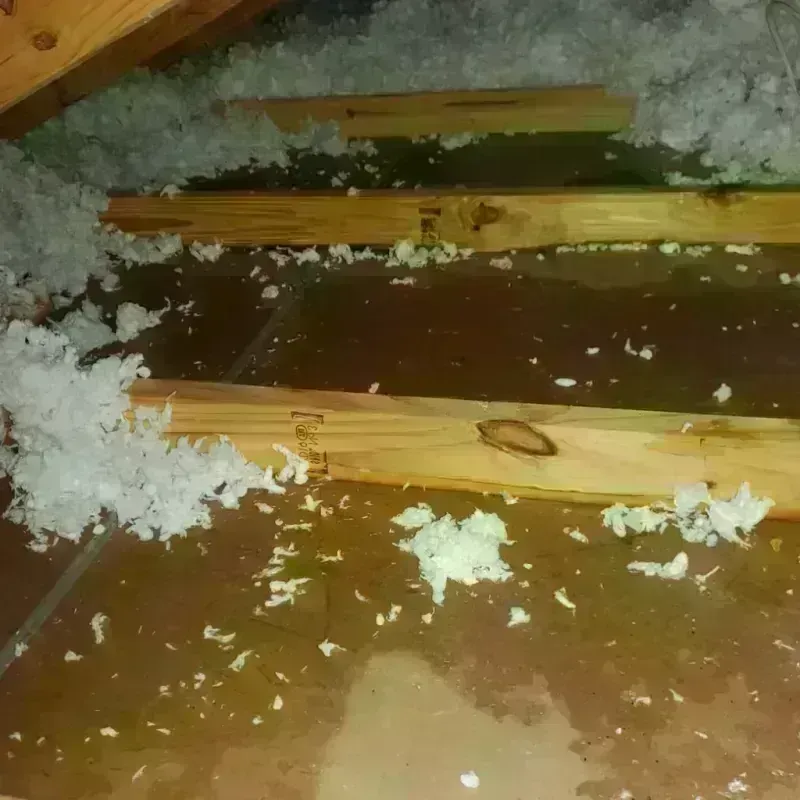 Best Attic Water Damage Service in Greater Upper Marlboro, MD